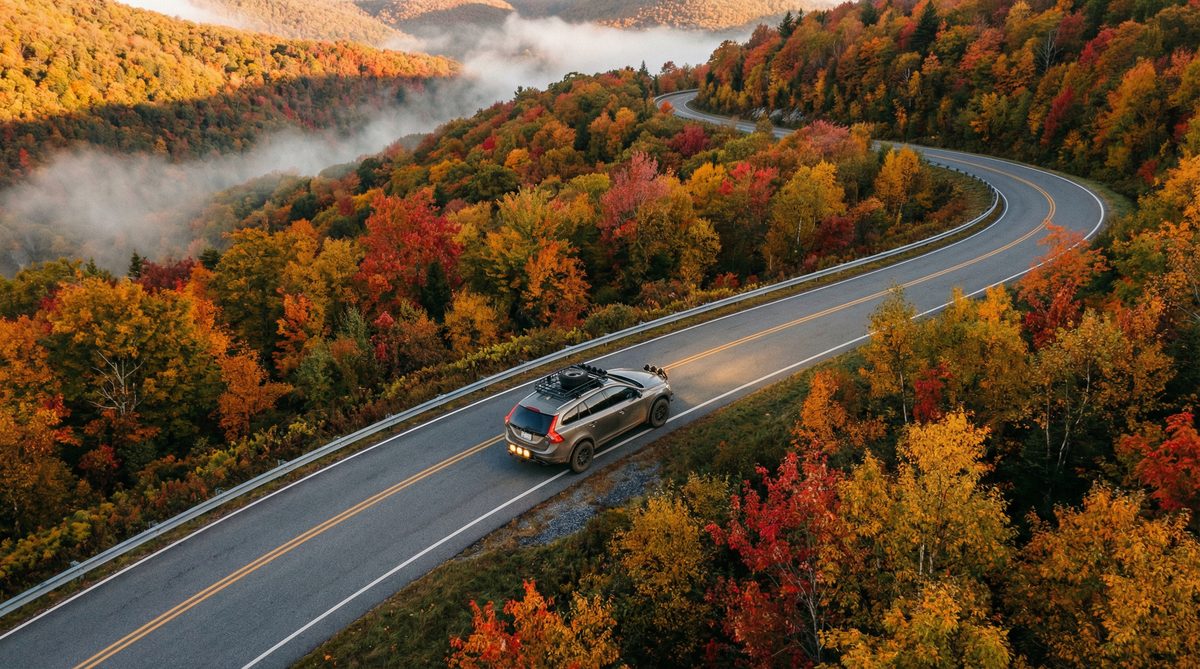 蘑菇视频短视频